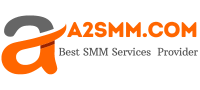 Best Quality SMM Services Provider